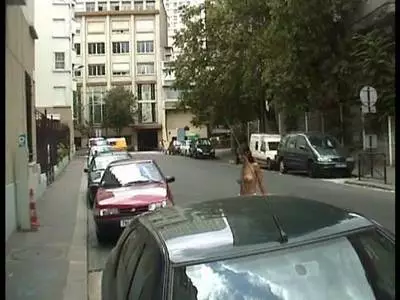 Praller Schwanz wird von scharfer Hure im Freien geleckt